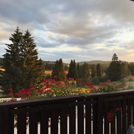 Apartment Poiana - - Brasov