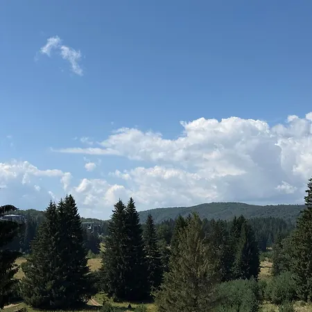 Poiana - - Apartment