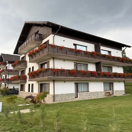 Poiana - - Apartment Brasov