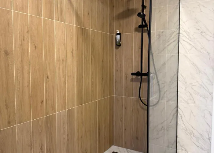 Poiana - - 公寓 布拉索夫