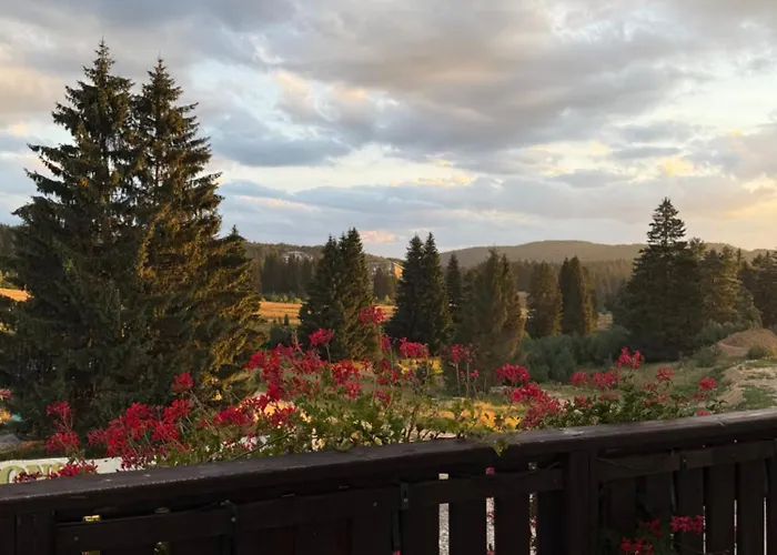 公寓 Poiana - - 布拉索夫