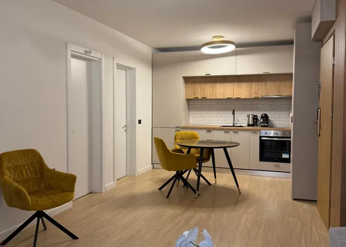 Poiana - - 布拉索夫