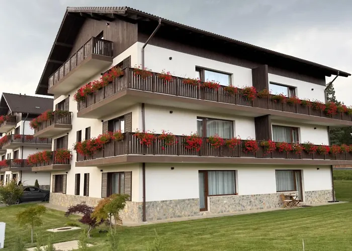 Poiana - - 公寓 布拉索夫